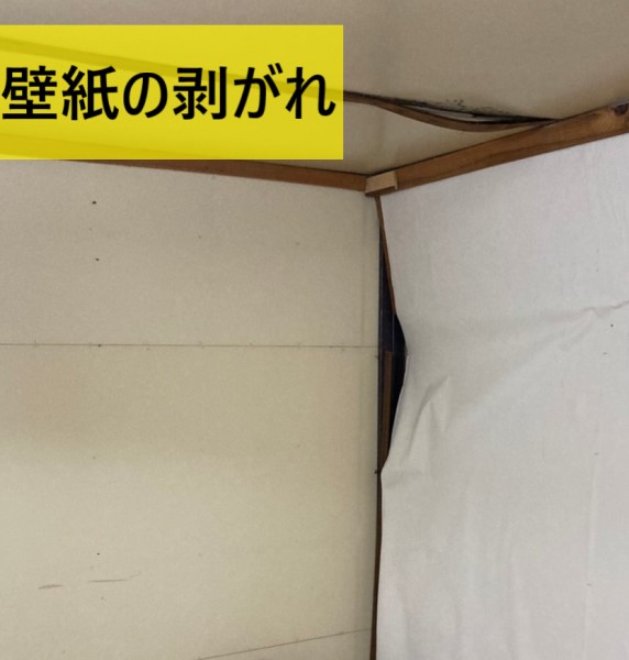 壁紙の剥がれ　雨漏り　折板屋根の雨漏り調査